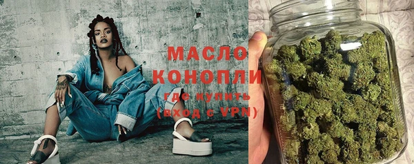 тгк Михайлов