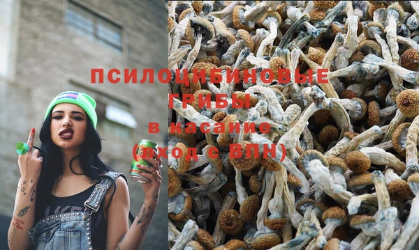 jwh Михайловск