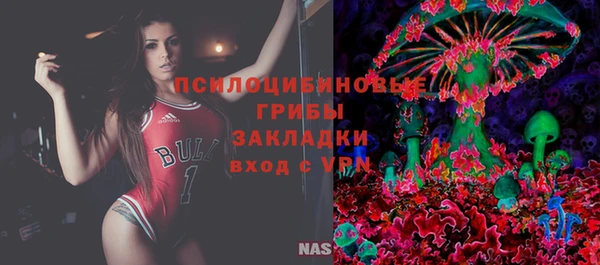 твердый Михайловка
