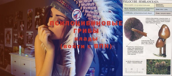 jwh Михайловск