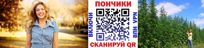 где купить наркоту  Йошкар-Ола  Бошки Шишки OG Kush 