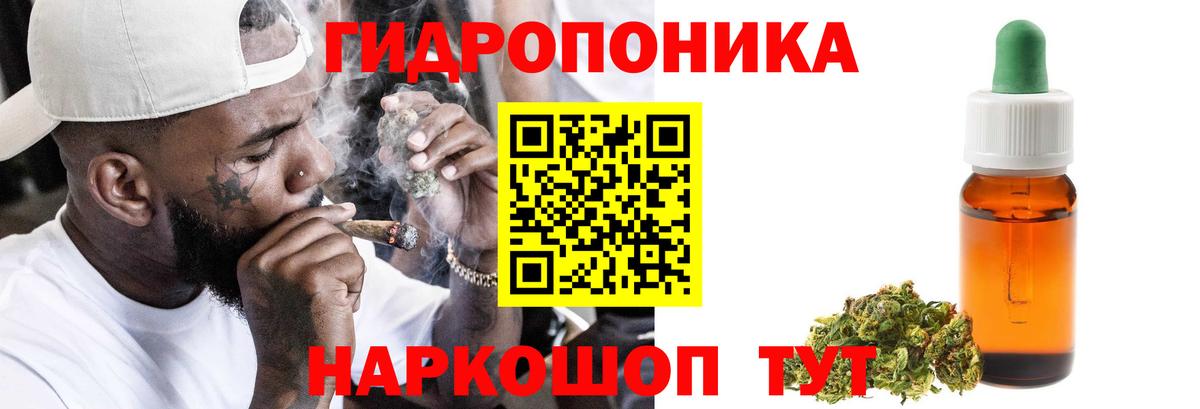 Конопля гибрид Йошкар-Ола